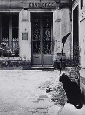 El gato de la portera (Calle de Tournon)