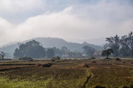 Campiñas que atravesamos con el tren Campiñas que atravesamos con el tren