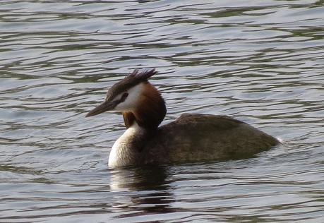 2 de Febrero: ¡Feliz Día de los Humedales! 2 de Febrero: ¡Feliz Día de los Humedales!
