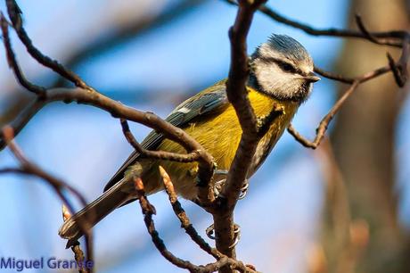 LO VISTO EN ENERO 2015 LO VISTO EN ENERO 2015