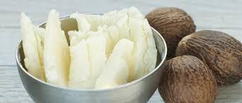 Manteca de Karité: hidratación, nutrición y elasticidad en la piel karite3 Manteca de Karité: hidratación, nutrición y elasticidad en la piel