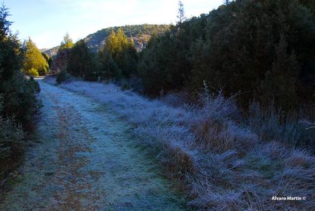 Senda del Cañón de Valdehornos