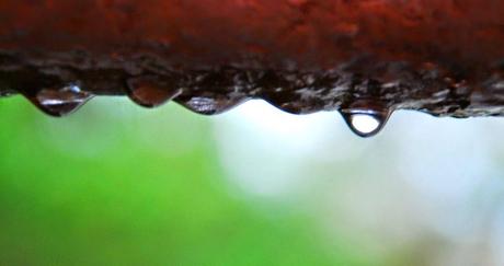 ESTE JUEVES....LLORAR...DE FELICIDAD ESTE JUEVES....LLORAR...DE FELICIDAD