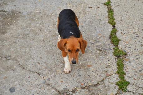 Desafiando a las nubes. Desafiando a las nubes.