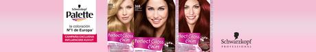 Campaña Palette Perfect Gloss Color de Testamus Campaña Palette Perfect Gloss Color de Testamus
