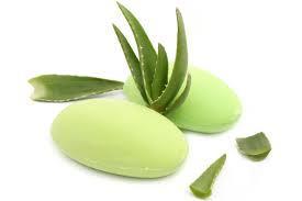 Cómo hacer jabón de aloe vera artesanal aloe-vera-jabon