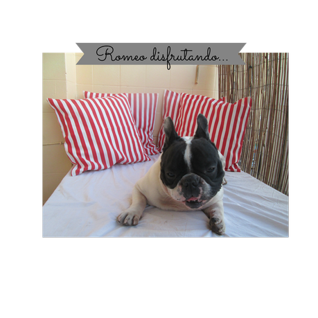 Terraza diy con palets... Terraza diy con palets...