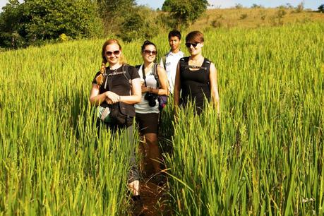 Magda, Agata, Benjamín y yo entre campos de arroz