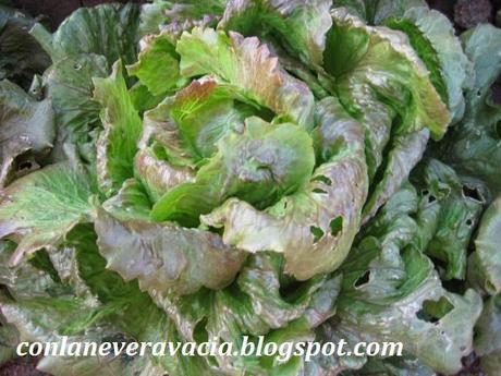 conlaneveravacia.blogspot.com TRUCOS DE COCINA CON SAL COSTA