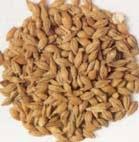 Cómo Prevenir el Colesterol malo. Los alimentos más efectivos Cómo Prevenir el Colesterol malo. Los alimentos más efectivos