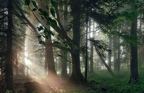 Un fotógrafo encuentra las localizaciones de los cuentos de los Hermanos Grimm Cuentos hermanos grimm curiosidades