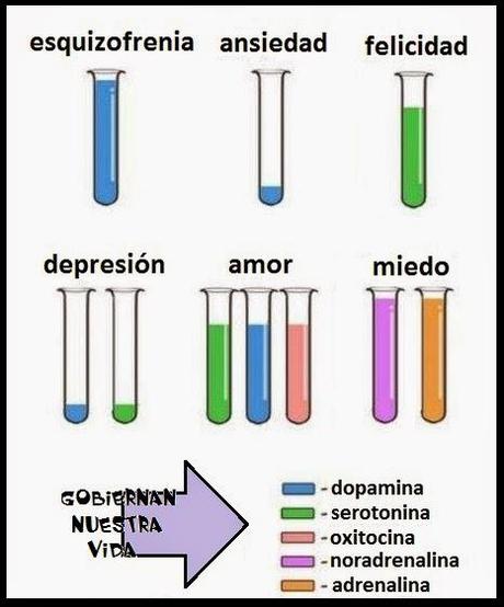 imagen neurotransmisores serotonina dopamina