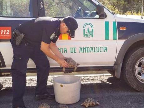 La Policía descubre en Almería una docena de yacimientos arqueológicos durante labores de prevención de expolios