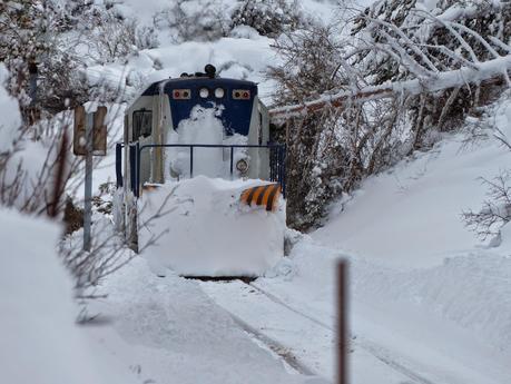 NIEVE Y MÁS NIEVE...