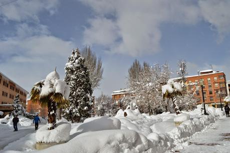 NIEVE Y MÁS NIEVE...