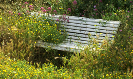 ¿Por qué lo haces? ¿Para qué te sirve? banco-sin-uso