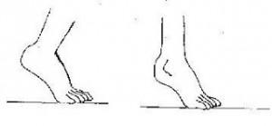 ¡Dime cómo andas y te diremos quien eres! plantillas para el calzado 2