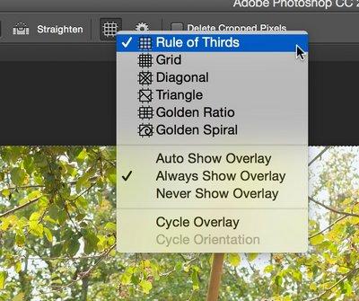 Herramienta de recorte en Photoshop sirve para más que recortar fotolia_photoshop_crop_07