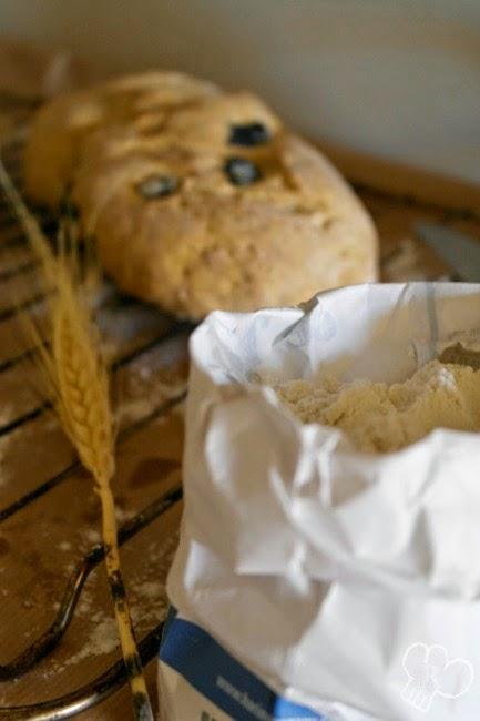 Pan de olivas negras Pan de olivas negras