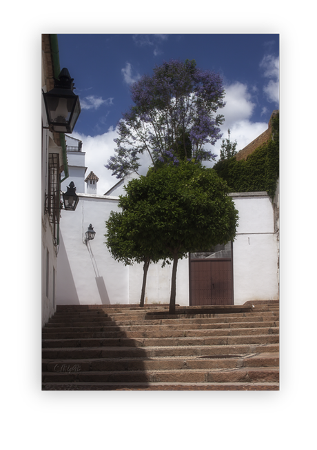 Museo Arqueológico y Etnológico de Córdoba