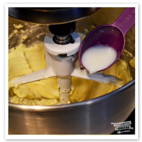 CUPCAKES DE VINO MUGA Y PASAS / RED WINE AND RAISIN CUPCAKES CUPCAKES DE VINO MUGA Y PASAS / RED WINE AND RAISIN CUPCAKES