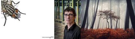 PoY–2014 – Faltan solo 3 días al cierre de las votaciones! Ganadoras a falta de 3 días