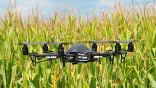 Beneficio de los drones en el campo agropecuario