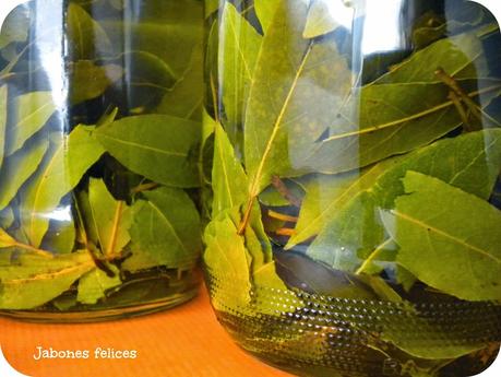 Jabón de laurel Jabón de laurel