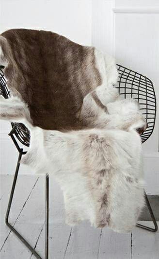 Apuesta por abrigar tus asientos imagen 1