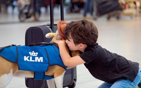 Sherlock, el perro de la KLM