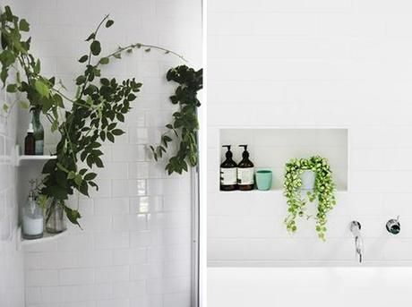 plantas-en-el-baño-14