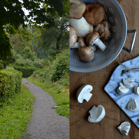 TALLARINES A LA BOLOÑESA DE TERNERA Y SETAS TALLARINES A LA BOLOÑESA DE TERNERA Y SETAS