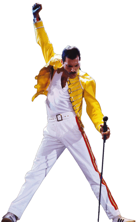 El 22 de noviembre de 1991 el manager de Freddie Mercury confirmo los rumores que la prensa y la opinión pública decía, padecía sida. Quizás la primera estrella mundial que murió por sida. E