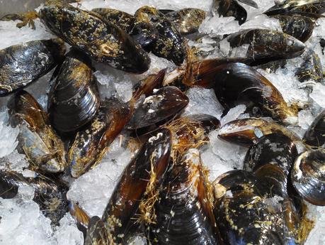 Mejillones al vapor con salsa de tomate picante