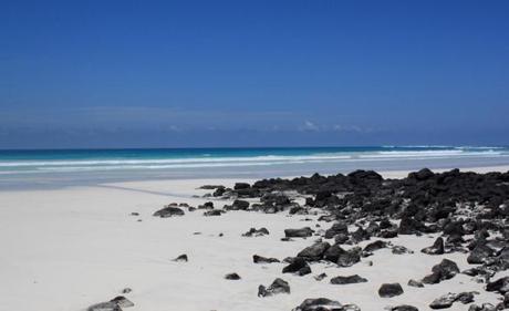 Ironman presenta su primera prueba de media distancia en Ecuador. Manta Ecuador