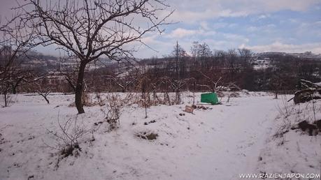 Nieve y trabajos forzados en YAMANASHI