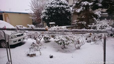 Nieve y trabajos forzados en YAMANASHI