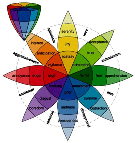 Emociones y competencias emocionales Emociones y competencias emocionales