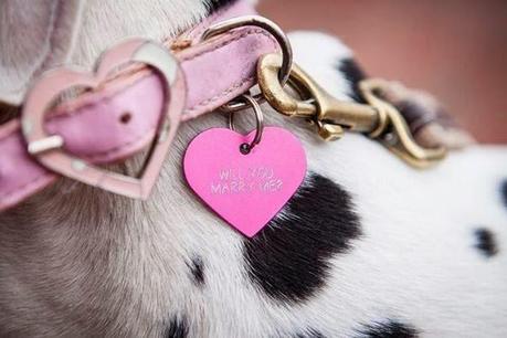 Más ideas originales para una pedida de mano muy cuca Más ideas originales para una pedida de mano muy cuca