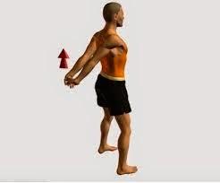 TOP ESTIRAMIENTOS II TOP ESTIRAMIENTOS II