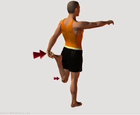 TOP ESTIRAMIENTOS II TOP ESTIRAMIENTOS II