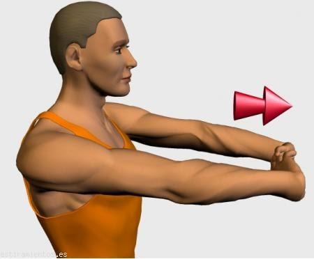 TOP ESTIRAMIENTOS II TOP ESTIRAMIENTOS II