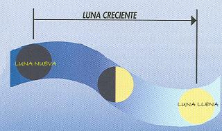 CONFIANDO EN LA LUNA CONFIANDO EN LA LUNA