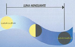 CONFIANDO EN LA LUNA CONFIANDO EN LA LUNA