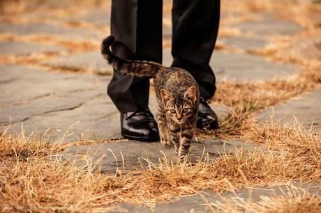 ” ¿Cuál de mis fotos es mi preferida? Una que voy a hacer mañana” . Imogen Cunningham , fotógrafa . DP450