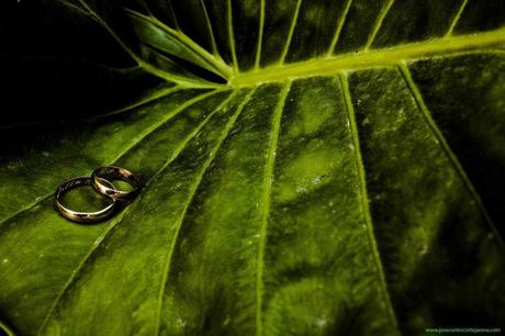 ” ¿Cuál de mis fotos es mi preferida? Una que voy a hacer mañana” . Imogen Cunningham , fotógrafa . ginnacortejarena_03