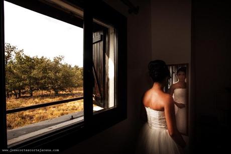 ” ¿Cuál de mis fotos es mi preferida? Una que voy a hacer mañana” . Imogen Cunningham , fotógrafa . DP196