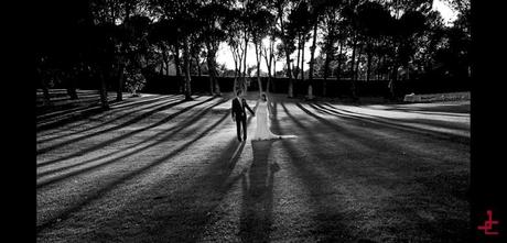 ” ¿Cuál de mis fotos es mi preferida? Una que voy a hacer mañana” . Imogen Cunningham , fotógrafa . jose cortejarena