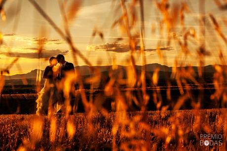 ” ¿Cuál de mis fotos es mi preferida? Una que voy a hacer mañana” . Imogen Cunningham , fotógrafa . premio boda y ginnamag2