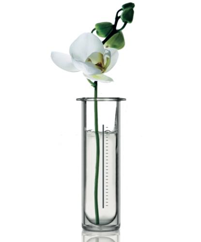 Mi Primer Contacto con Frezyderm Mi Primer Contacto con Frezyderm